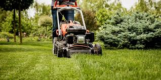 Alpha Lawn Mowing services